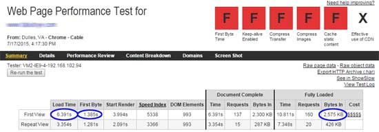 WebPageReport Summary