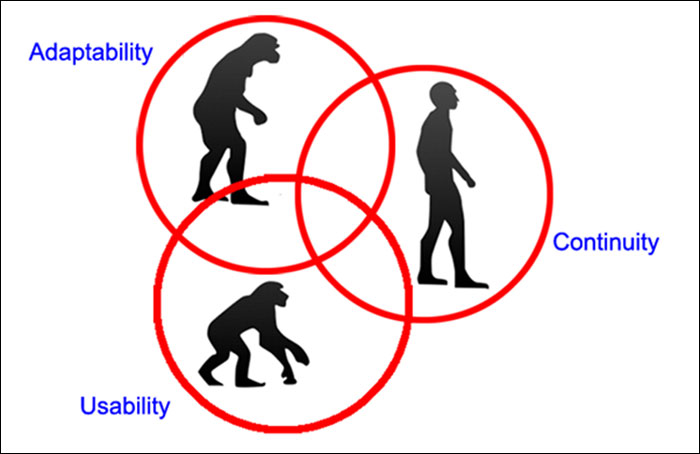 Coexisting states of the Mobile Ecommerce Evolution